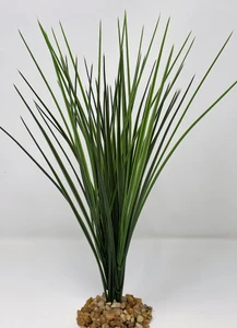 13" extra thick Spike weed with stone base