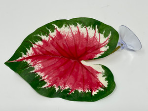 Small 4" Soft Betta Hammock!! 1-leaf Pink & Green Caladium Silk Betta safe Plant, SUCTION CUP base, Lower Forty Farm artificial aquarium plant Small 4" Soft Betta Hammock!! 1-leaf Pink & Green Caladium Silk Betta safe Plant, SUCTION CUP base, Lower Forty Farm artificial aquarium plant