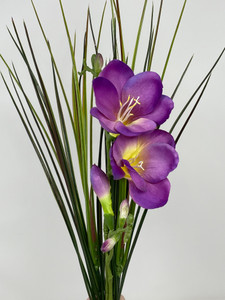 Purple Freesia & green-red grass Purple Freesia & green-red grass