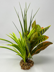 13" Green Spike Weed Grass, Lt Green DRACAENA & CROTON combo plant 807, stone base, Realistic Artificial Aquarium plastic plant, Lower Forty Farm unique combination artificial aquarium plant arrangement 13" Green Spike Weed Grass, Lt Green DRACAENA & CROTON combo plant 807, stone base, Realistic Artificial Aquarium plastic plant, Lower Forty Farm unique combination artificial aquarium plant arrangement