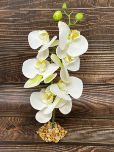13" White PHALAENOPSIS ORCHID Soft Silk Aquarium flower plant, Stone base, Betta-safe plant, Lower Forty Farm artificial aquarium plant 13" White PHALAENOPSIS ORCHID Soft Silk Aquarium flower plant, Stone base, Betta-safe plant, Lower Forty Farm artificial aquarium plant