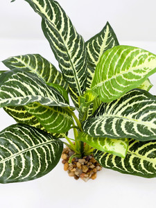 11" ZEBRA Philo BUSH Silk Philodendron aquarium Plant, Stone base, Goldfish & Betta-safe plant, Lower Forty Farm artificial aquarium plant