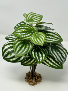 9" Medium WATERMELON PEPEROMIA soft silk Aquarium Plant, Stone Base, Goldfish & Betta-safe plant, Lower Forty Farm artificial aquarium plant 9" Medium WATERMELON PEPEROMIA soft silk Aquarium Plant, Stone Base, Goldfish & Betta-safe plant, Lower Forty Farm artificial aquarium plant