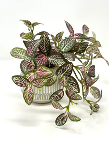 9" Small Artificial PINK FITTONIA NERVE faux Silk plant potted in Cream-Gray Ceramic Pot, handmade original by filled artificial planter by Lower Forty Farm, OOAK unique gift, home office decor