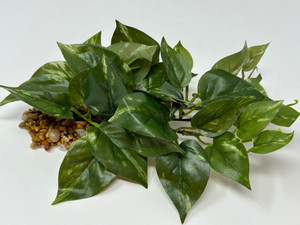 8" LONG, LOW Green/White POTHOS Bush, soft silk aquarium plant, stone base 8" LONG, LOW Green/White POTHOS Bush, soft silk aquarium plant, stone base