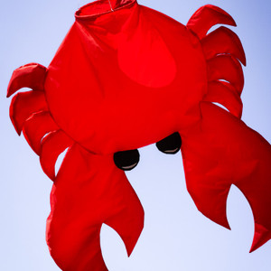 HUGE Extra Large 58 x 54" RED CRAB BIG Breeze WINDSOCK, ITB-5230