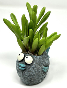 5.5" Potted BUBBLES Blue FISH Blob House Mini pot WITH faux succulent as shown, handmade original filled artificial planter by Lower Forty Farm, OOAK unique gift, home office decor