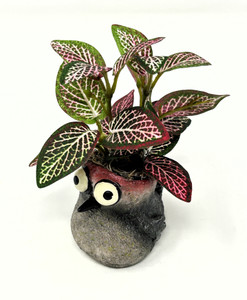 5"POTTED Baby WOODPECKER Mini Blobhouse pot WITH faux silk Pink Fittonia plant, handmade original by filled planter by Lower Forty Farm, unique gift, home office decor