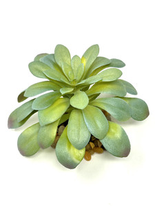 3 in. Gray-GREEN AEONIUM Succulent Aquarium or Dry Habitat soft plastic Plant, Stone Base, Lower Forty Farm, unique handmade realistic natural-looking artificial aquarium plant