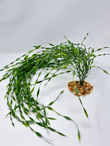 33" XL 6-stem JUNGLE VAL Sea Grass Soft flowing Plastic Wireless Plant, Stone Base, Lower Forty Farm, unique handmade realistic natural-looking artificial aquarium plant