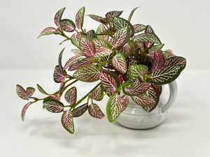 7" Small Artificial PINK FITTONIA NERVE faux Silk plant potted in White 2-handle Ceramic Pot, handmade original by filled artificial planter by Lower Forty Farm, OOAK unique gift, home office decor