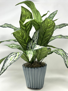 19" Large SILVER QUEEN AGLAONEMA artificial silk Sword plant, 5.5" Blue Ceramic Planter Pot, handmade original by filled artificial planter by Lower Forty Farm, OOAK unique gift, home office decor