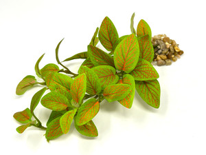 8-9" Long LOW Lt Green-Red Fittonia NERVE Silk Aquarium plant, STONE base, Goldfish & Betta-safe plant, Lower Forty Farm artificial aquarium plant