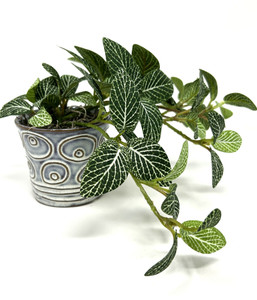 Mini 5" Artificial Green Fittonia Nerve faux Silk plant potted in abstract Ceramic Pot, handmade original by filled artificial planter by Lower Forty Farm, OOAK unique gift, home office decor