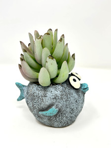 4.5" Potted BUBBLES Blue FISH Blob House Mini pot WITH faux Senecio succulent as shown, handmade original filled artificial planter by Lower Forty Farm, OOAK unique gift, home office decor