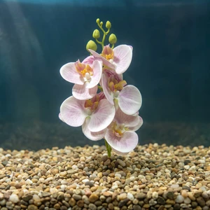 9 Pale PINK Phalaenopsis DOUBLE ORCHID Soft Silk Aquarium flower plant, Stone base, Goldfish & Betta-safe plant, Lower F