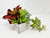 7" Unique Artificial Red & Green mixed Succulent Garden #23, White-washed wooden box, handmade original by Lower Forty Farm, home office decor