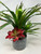 20" Lg Faux Green-Red YUCCA Silk plant, Red Kalanchoe, Dracaena in Ceramic blue-brown pot, handmade original by Lower Forty Farm