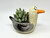 6.5" Potted Lg SEAGULL Blob House pot with Artificial Senecio & Echeveria Cabbage Succulent, handmade by Lower Forty Farm, beach house decor