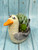 6.5" Potted Lg SEAGULL Blob House pot with Artificial Senecio & Echeveria Cabbage Succulent, handmade by Lower Forty Farm, beach house decor