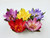 All Water Lily colors available