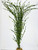 32" XL 4-32" stems JUNGLE VAL Sea Grass Soft flowing Plastic Wireless Plant, Stone Base, Lower Forty Farm, unique handmade realistic natural-looking artificial aquarium plant