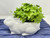 9" Artificial silk Shamrock CLOVER in White Ceramic Bunny Rabbit planter, handmade original by filled artificial planter by Lower Forty Farm, home or office decor