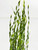 25" XL 4-25" stems JUNGLE VAL Sea Grass Soft flowing Plastic Wireless Plant, Stone Base, Lower Forty Farm, unique handmade realistic natural-looking artificial aquarium plant