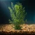 21" Large THICK PEA LEAF 4-stem Soft Flowing Plastic Plant, Stone Base, Lower Forty Farm, unique handmade realistic natu