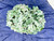 7" Artificial BLUE-GREEN HYDRANGEA faux Silk flower potted in distressed white Wooden Box, handmade original by Lower Forty Farm, home office decor