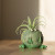 3.5" FRECKLES the FROG Blob House planter Pot Only, unique gift, home office decor