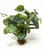 10" tall Green-White Fittonia NERVE Silk Aquarium plant, STONE base, Lower Forty Farm, Goldfish & Betta-safe plant,  artificial aquarium plant