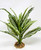 14" Large Green-White ZEBRA Philo BUSH Silk Philodendron aquarium Plant, Stone base, Goldfish & Betta-safe plant, Lower Forty Farm artificial aquarium plant