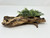 11" Natural Mopani Wood & soft Glosso Baby Tears artificial aquarium plant, hand-made by Lower Forty Farm