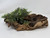 11" Natural Mopani Wood & soft Glosso Baby Tears artificial aquarium plant, hand-made by Lower Forty Farm