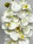 10" SM White 10-blossom PHALAENOPSIS ORCHID Soft Silk Aquarium flower plant, Stone base, Betta-safe plant, Lower Forty Farm realistic artificial
