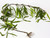 54" Large Hanging WILLOW BRANCH Plant, artificial aquarium terrarium plant