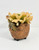 4" POTTED Dougal HIGHLAND COW Blob House Mini pot WITH soft Echeveria Succulent as shown, filled artificial planter by Lower Forty Farm, OOAK unique gift, home office decor