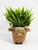 4" POTTED Dougal HIGHLAND COW Blob House Mini pot WITH soft Bamboo leaves as shown, filled artificial planter by Lower Forty Farm, OOAK unique gift, home office decor