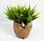 4" POTTED Dougal HIGHLAND COW Blob House Mini pot WITH soft Bamboo leaves as shown, filled artificial planter by Lower Forty Farm, OOAK unique gift, home office decor