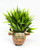 4" POTTED Dougal HIGHLAND COW Blob House Mini pot WITH soft Bamboo leaves as shown, filled artificial planter by Lower Forty Farm, OOAK unique gift, home office decor