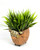 4" POTTED Dougal HIGHLAND COW Blob House Mini pot WITH soft Bamboo leaves as shown, filled artificial planter by Lower Forty Farm, OOAK unique gift, home office decor