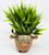 4" POTTED Dougal HIGHLAND COW Blob House Mini pot WITH soft Bamboo leaves as shown, filled artificial planter by Lower Forty Farm, OOAK unique gift, home office decor