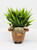 4" POTTED Dougal HIGHLAND COW Blob House Mini pot WITH soft Bamboo leaves as shown, filled artificial planter by Lower Forty Farm, OOAK unique gift, home office decor
