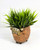 4" POTTED Dougal HIGHLAND COW Blob House Mini pot WITH soft Bamboo leaves as shown, filled artificial planter by Lower Forty Farm, OOAK unique gift, home office decor