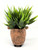 4" POTTED Dougal HIGHLAND COW Blob House Mini pot WITH soft Bamboo leaves as shown, filled artificial planter by Lower Forty Farm, OOAK unique gift, home office decor