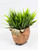 4" POTTED Dougal HIGHLAND COW Blob House Mini pot WITH soft Bamboo leaves as shown, filled artificial planter by Lower Forty Farm, OOAK unique gift, home office decor