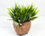 4" POTTED Dougal HIGHLAND COW Blob House Mini pot WITH soft Bamboo leaves as shown, filled artificial planter by Lower Forty Farm, OOAK unique gift, home office decor