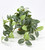 11" Long LARGE Dark Green Fittonia NERVE Silk Bush Aquarium plant, STONE base, Goldfish & Betta-safe plant, Lower Forty Farm artificial aquarium plant
