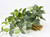 11" Long LARGE Dark Green Fittonia NERVE Silk Bush Aquarium plant, STONE base, Goldfish & Betta-safe plant, Lower Forty Farm artificial aquarium plant